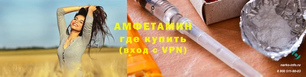 молекула духа Алексин