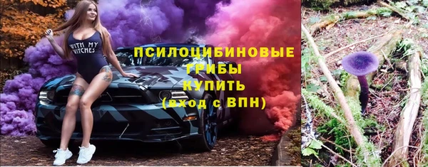 молекула духа Алексин