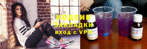 хмурый Алзамай