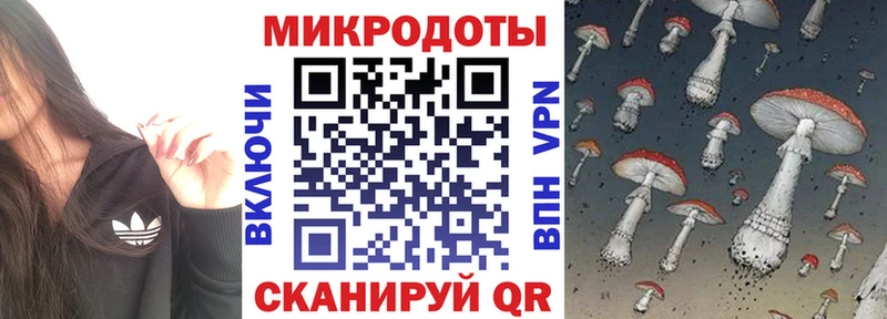 Псилоцибиновые грибы Cubensis Железногорск-Илимский
